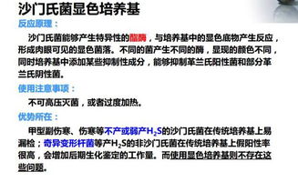 沙門(mén)氏菌的食品微生物學(xué)檢驗(yàn)方法解析與佳發(fā)微招辦應(yīng)用探討